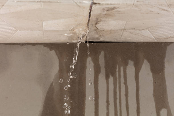 Professional Sewage Cleanup technician working in West Harwich, MA